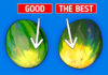 How to Select the Perfect, Delicious, and Fresh Watermelon