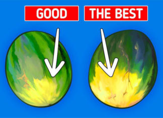 How to Select the Perfect, Delicious, and Fresh Watermelon