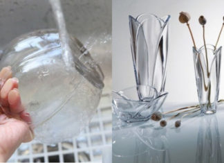 Vinegar and Bleach: Understanding the Difference Between Cleaners and Disinfectants