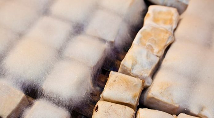 How to Enjoy Delicious Hairy Tofu?