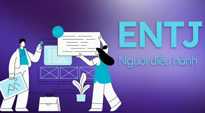 What is ENTJ? Prominent characteristics of Executives