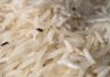 Tips for Long-Term Rice Storage: Keep Your Rice Free from Weevils