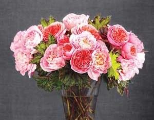 Smart Tips for Keeping Flowers Fresh All Week Long