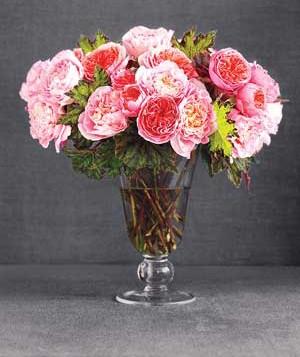 Smart Tips for Keeping Flowers Fresh All Week Long