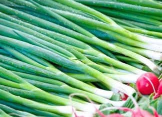 Keep Your Greens Lively and Luscious: A Year-Round Guide to Freshness.