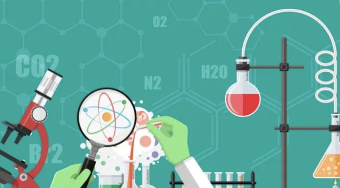 What is INTJ? Characteristics of a Scientific Mind