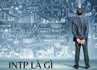 What is INTP? Characteristics of a Logical Thinker