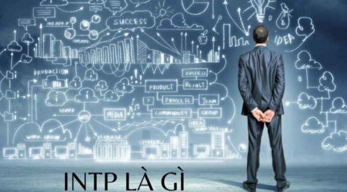 What is INTP? Characteristics of a Logical Thinker