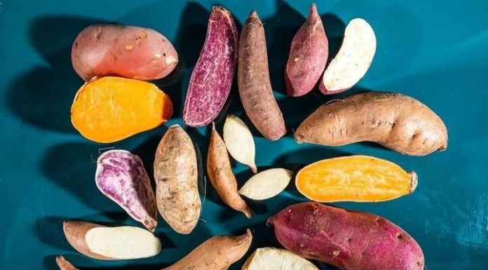 Should I buy ‘male sweet potatoes’ or ‘female sweet potatoes’?