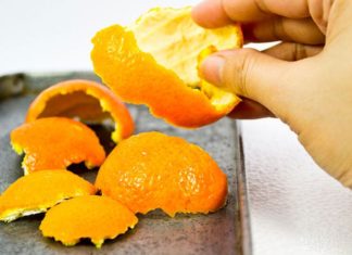 Tips to Keep Mosquitoes Away on Rainy Days