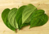 Use Betel Leaves to Easily Remove Plaque and Cure Gum Inflammation