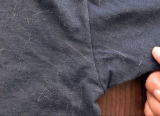 9 Simple and Effective Ways to Remove Cat Hair from Clothes