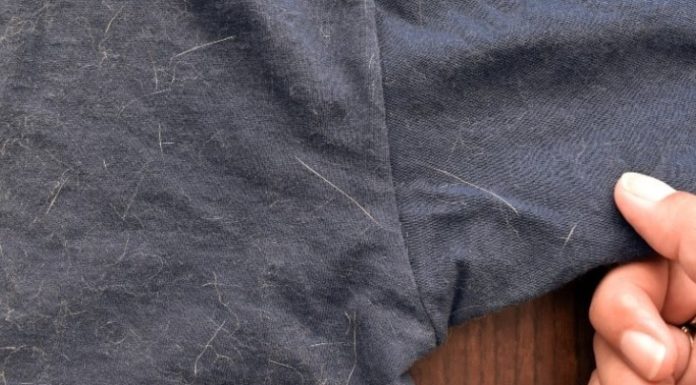 9 Simple and Effective Ways to Remove Cat Hair from Clothes