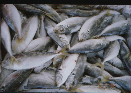 The Ultimate Guide to Preparing Seafood: Tips for Perfectly Seasoned and Delicious Dishes