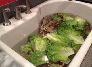 Japanese people can revive withered vegetables, make sand-free clams and oysters, and keep fish meat fresh and delicious just by using a simple and unexpected water mixture in just 10 minutes