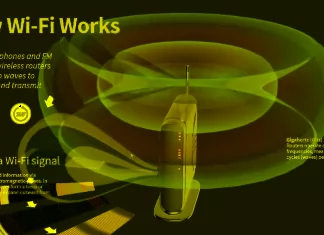 Are WiFi Waves Harmful? What is their Impact on Humans?