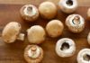 Tips for Choosing, Using, and Preserving Mushrooms