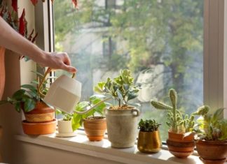 The Surprising Benefits of Overnight Tea