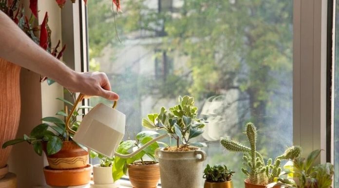 The Surprising Benefits of Overnight Tea