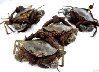 Quick and Simple Tips for Cleaning Crab and Shellfish