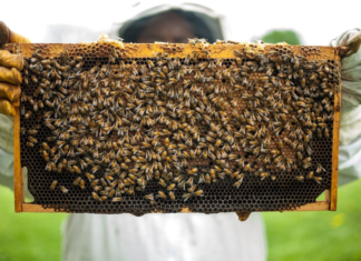 Survival Tips for 9 Life-Threatening Situations