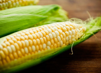 The Untold Benefits of Tissue Paper That You Probably Didn’t Know!