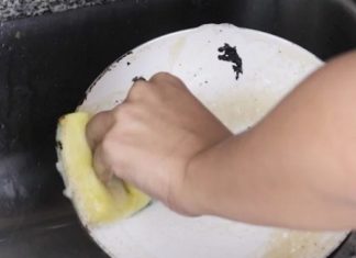 Guidelines for Caring for and Storing Ceramic and Stone Pots