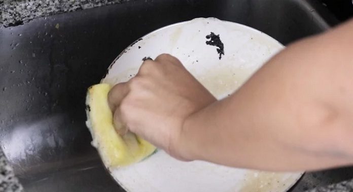 Guidelines for Caring for and Storing Ceramic and Stone Pots