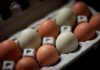 Quick Tips for Cooking Eggs and 3 Delicious Northern-Style Egg Recipes