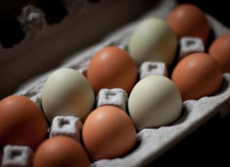 Quick Tips for Cooking Eggs and 3 Delicious Northern-Style Egg Recipes