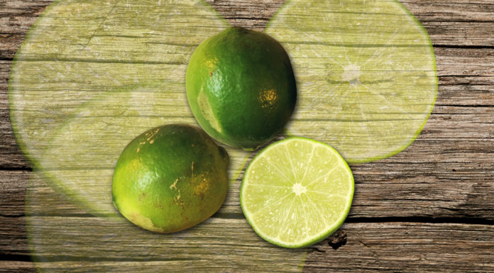 The Magic of Lemons: Revitalizing Stainless Steel, Leather, and Plastic Surfaces