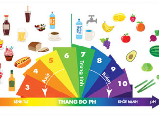 The Magic of Alkaline Environments: Crafting a Powerful Alkaline Experience