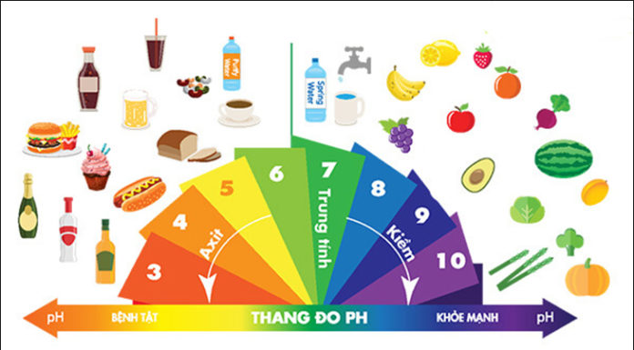 The Magic of Alkaline Environments: Crafting a Powerful Alkaline Experience