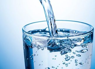 Calorie-Free Foods to Support Weight Loss for Women