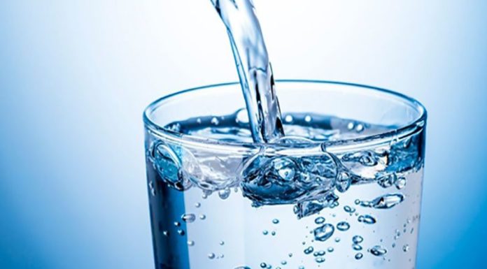 Calorie-Free Foods to Support Weight Loss for Women