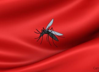 What color clothes to wear to avoid mosquito bites?