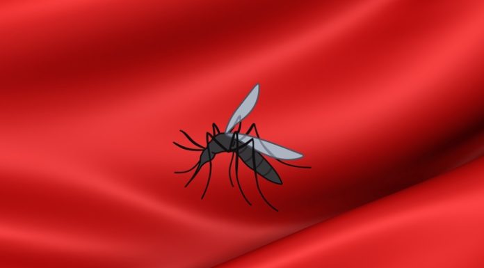 What color clothes to wear to avoid mosquito bites?