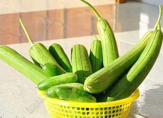 Which is better: buying straight or curved gourds?