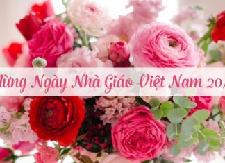 Vietnamese Teacher’s Day 20/11: History, Significance, and Origins