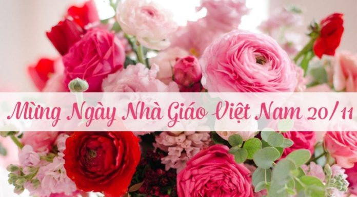 Vietnamese Teacher’s Day 20/11: History, Significance, and Origins