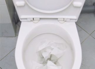Wrapping Food Wrap on the Toilet: A Prank Turns Out to Have Amazing Benefits
