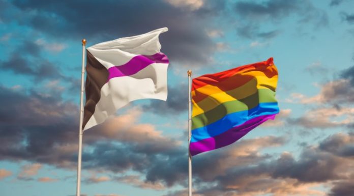 What is Demisexuality? Signs of Demisexual Attraction