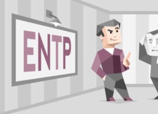 What are the personality traits of an individual with vision (ENTP)? Pros and cons