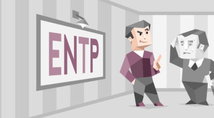 What are the personality traits of an individual with vision (ENTP)? Pros and cons