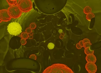 Start Your Day with Health News: Harmful Habits while Using the Bathroom