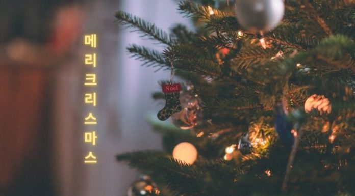 Cute and Adorable Korean Christmas Greetings
