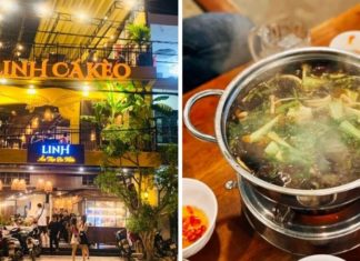 Crushing 5 delicious and authentic Nha Trang catfish hotpot restaurants