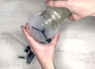 Eliminate Terrible Odors of Pet Urine in Your Home Using these Ingredients