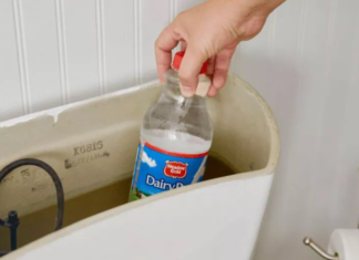 What is the purpose of placing a plastic bottle in the water tank of a toilet?