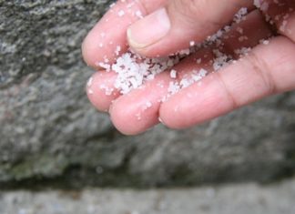 Why It’s Time for Everyone to Salt Their House?